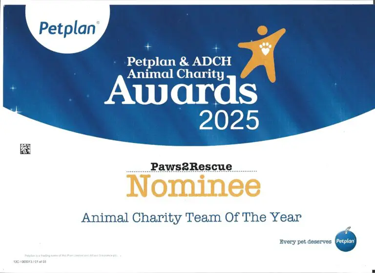PetPlan Awards 2025 nomination certificate for Paws2Rescue