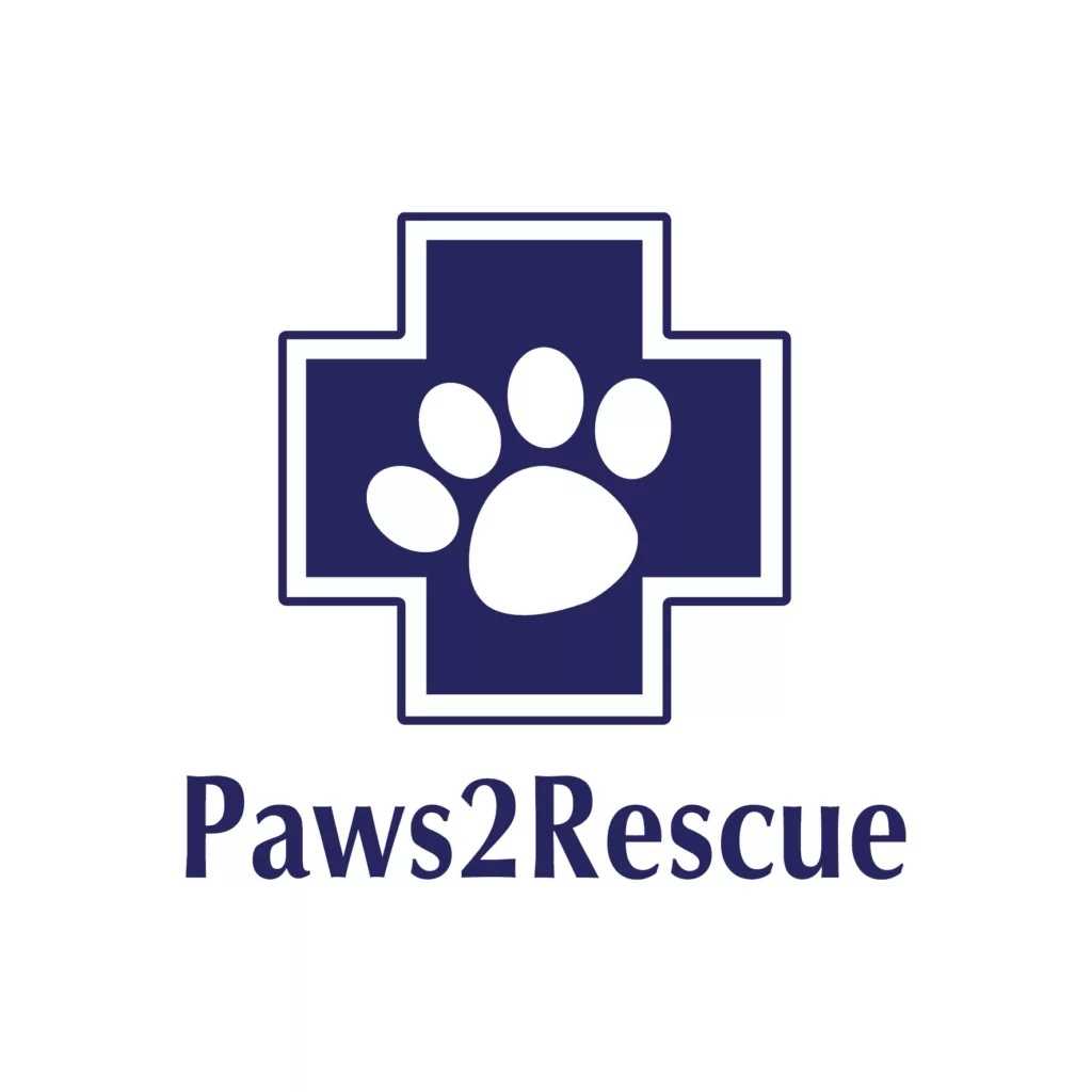 Paws2Rescue blue logo on a white background, the logo features the symbol of a paws inside a blue cross with the text 'Paws2Rescue' below.