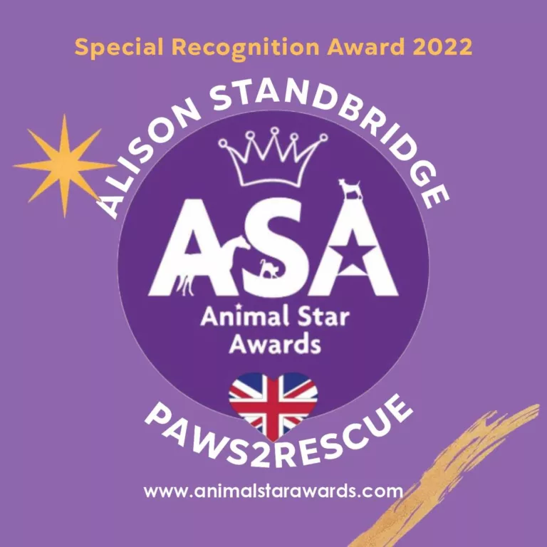 Paws2Rescue Special Recognition Award at the 2022 Animal Star Awards