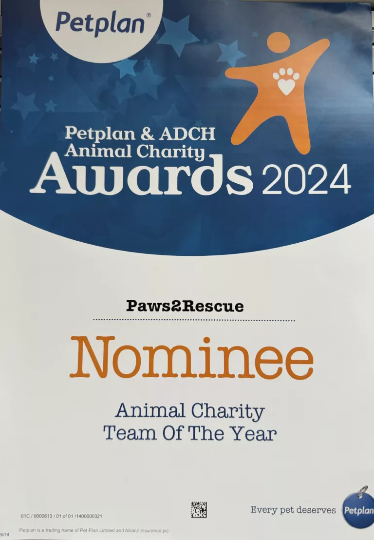 Certificate for Paws2Rescue being nominated as Animal Charity Team Of The Year at the Petplan Awards 2024