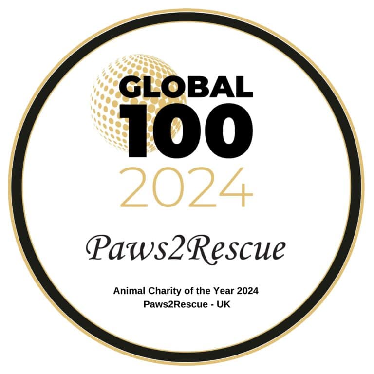 Paws2Rescue Global 100 2024 Award