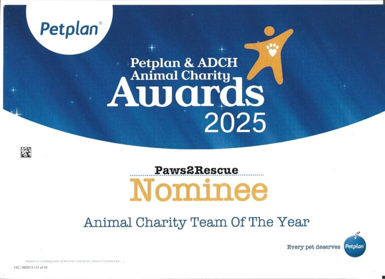 PetPlan Awards 2025 nomination certificate for Paws2Rescue
