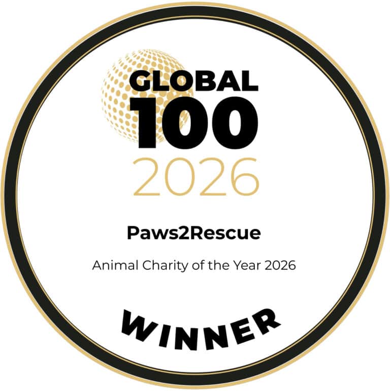 Award-winning animal charity of 2026 by Global 100.