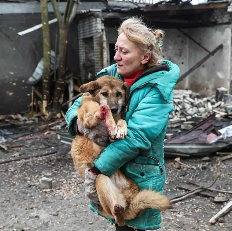 Rescuer holding a wounded dog amidst destruction from Ukraine conflict, highlighting animal rescue e.