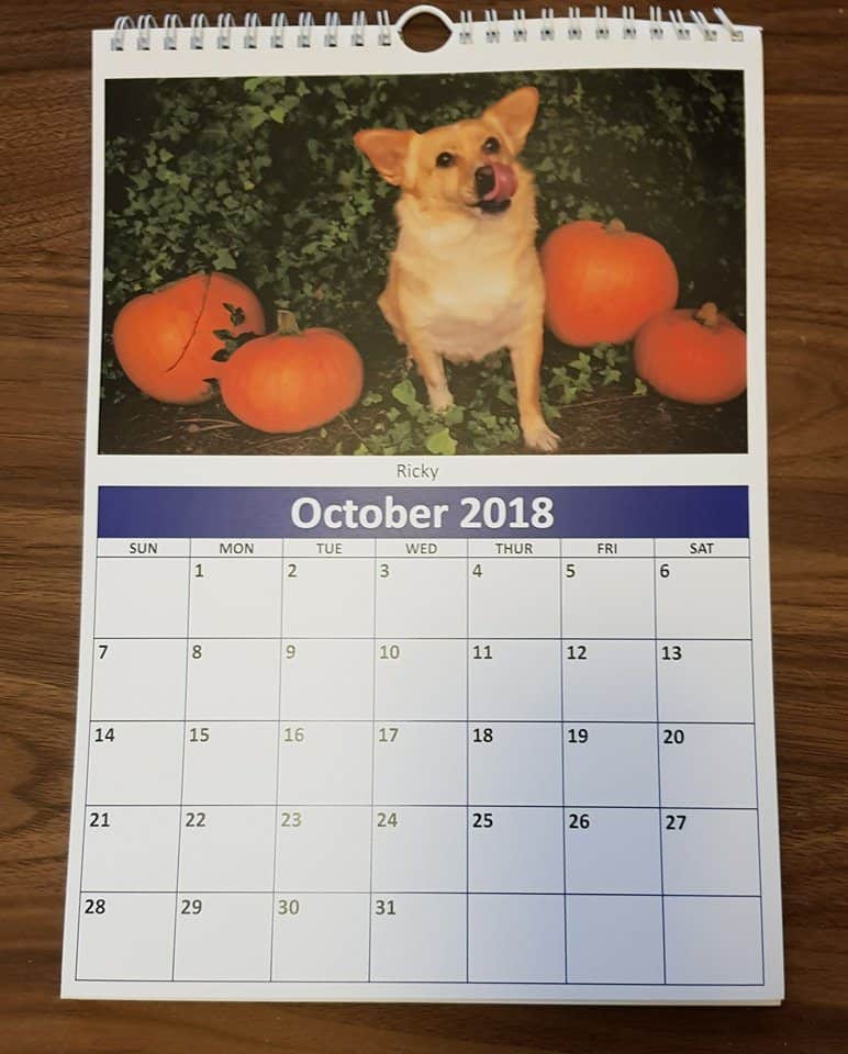 Order Our 2018 Calendar