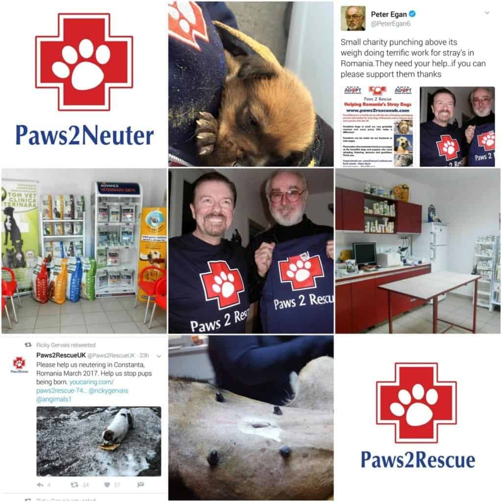 Paws2Rescue and SC Spay Vet SRL Project 2020 Update